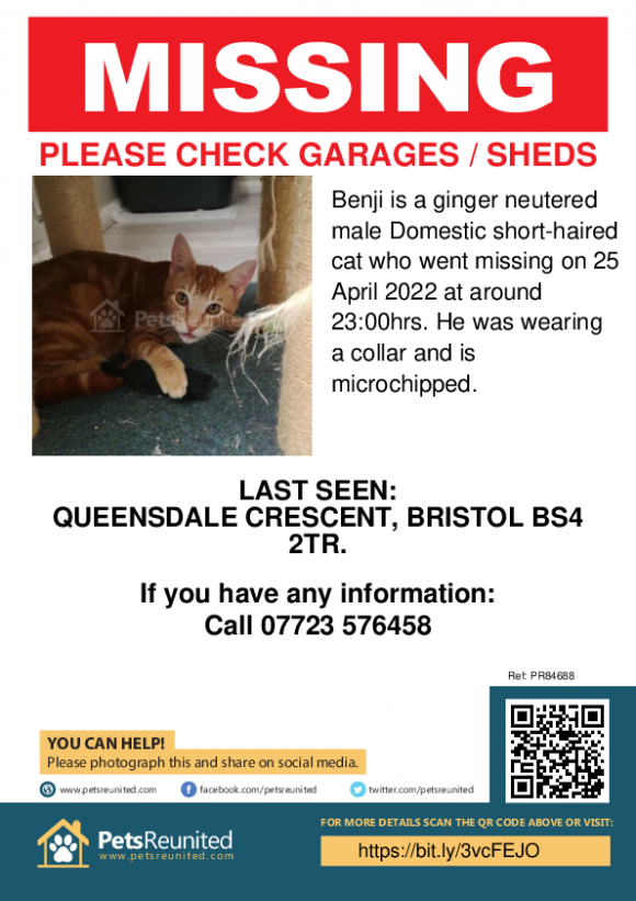 FOUND!! Home, safe and sound –               LOST GINGER CAT