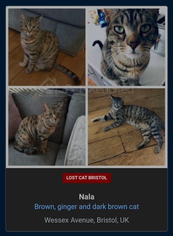 Nala missing from BS7