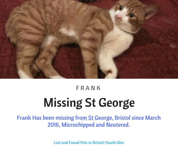 Rest in Peace – 2nd March 2017 – Missing – St George – March 2016 – Male Chipped and Neutered