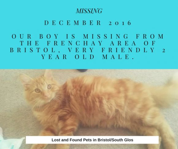 REUNITED – 23rd May 2017 – Missing – December 2016 – Frenchay – Long Haired Ginger Male