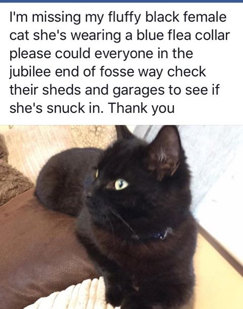 Missing since 27 May Clevedon