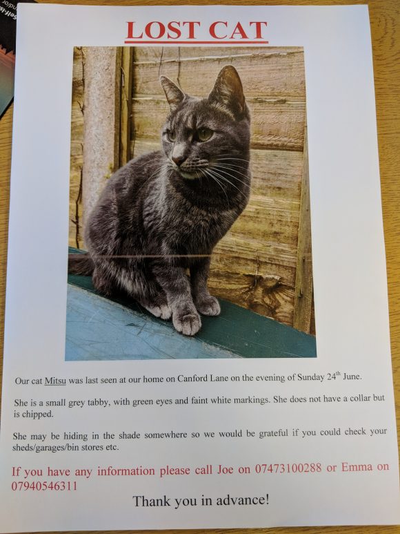 Missing Cat – Grey Tabby – Canford Lane, Westbury on Trym, BS9