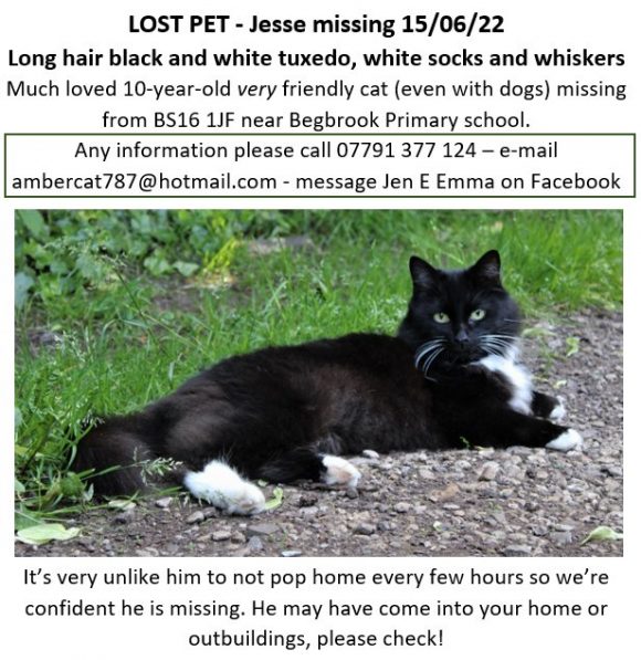 reunited – Jesse – Missing 15.6.22 BS16 1JF near Begbrook School
