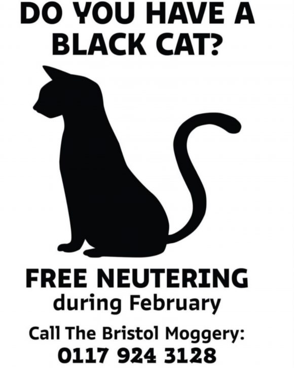 Free neutering in February