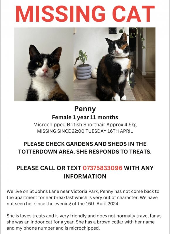 Missing Cat Penny